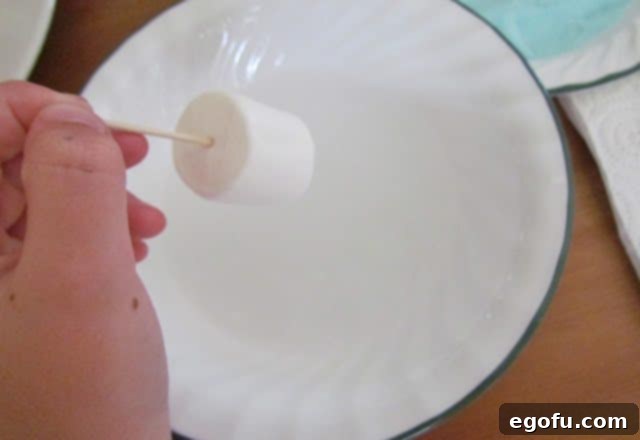 Close-up of a hand dipping a jumbo marshmallow into a bowl of water, holding it by a toothpick.