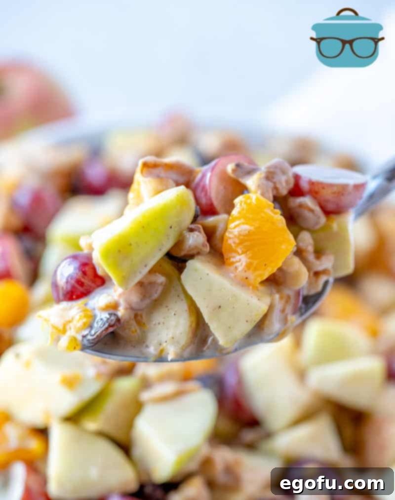 SPOONFUL, APPLE FRUIT SALAD with oranges and grapes.