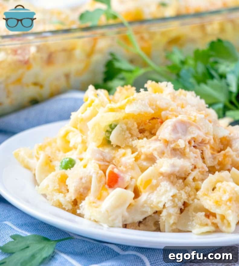 Easy Chicken Noodle Casserole served on a white plate with parsley garnish, highlighting its creamy texture and golden-brown topping.