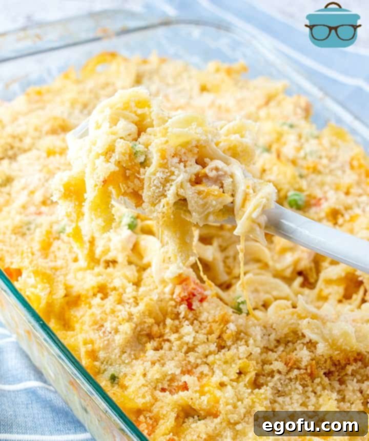 Finished, golden-brown Chicken Noodle Casserole, served hot from the oven with a serving spoon.