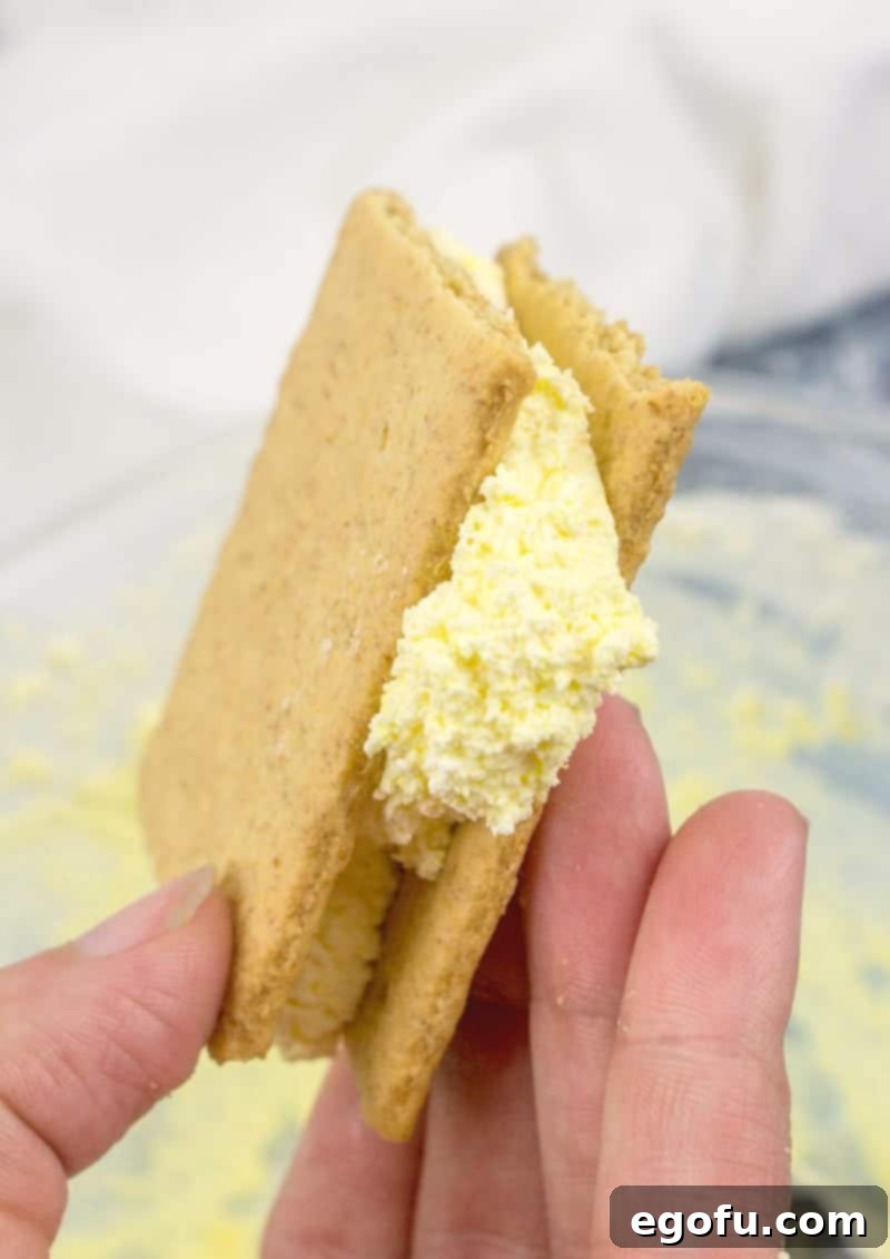 Two graham crackers filled with the creamy frosting, showing the slight overflow for sprinkles, a key step for decoration.