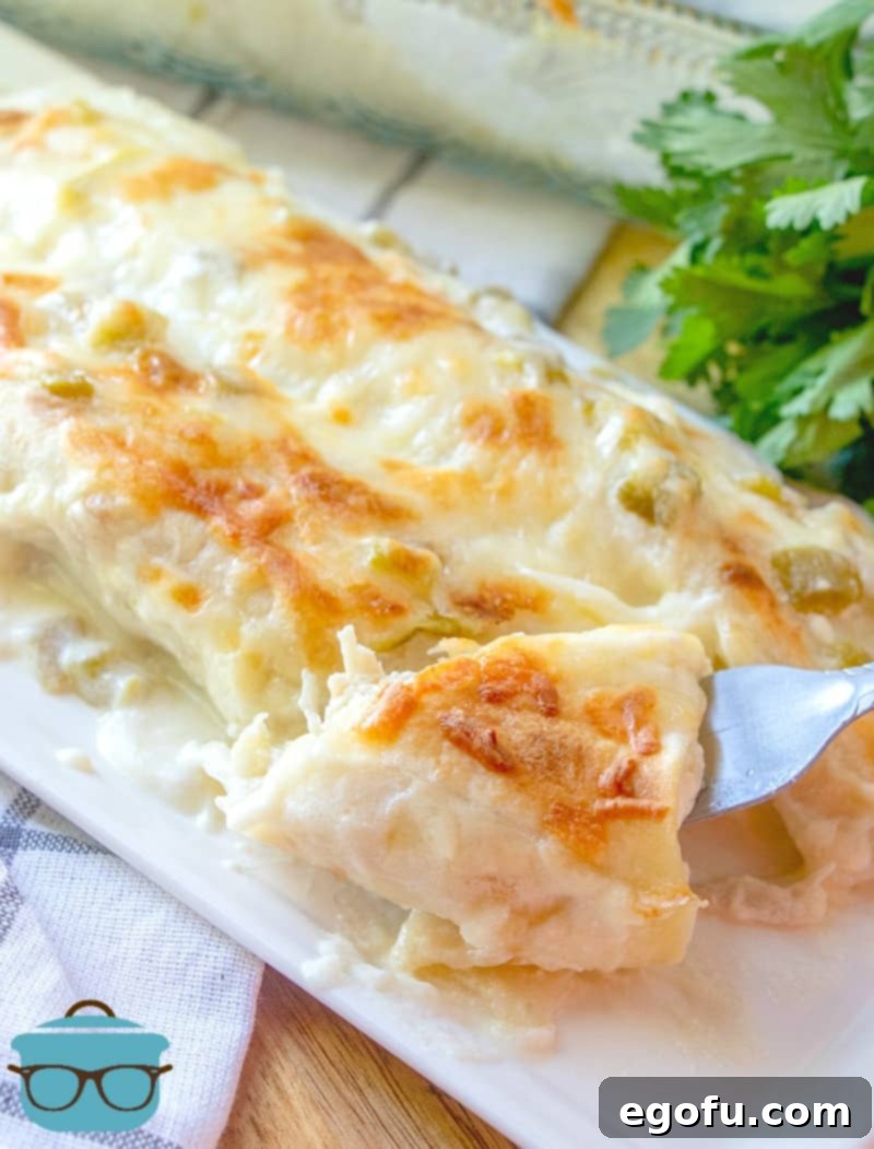 Decadent White Chicken Enchiladas 2 Forkful of creamy chicken enchiladas on a plate with fresh parsley