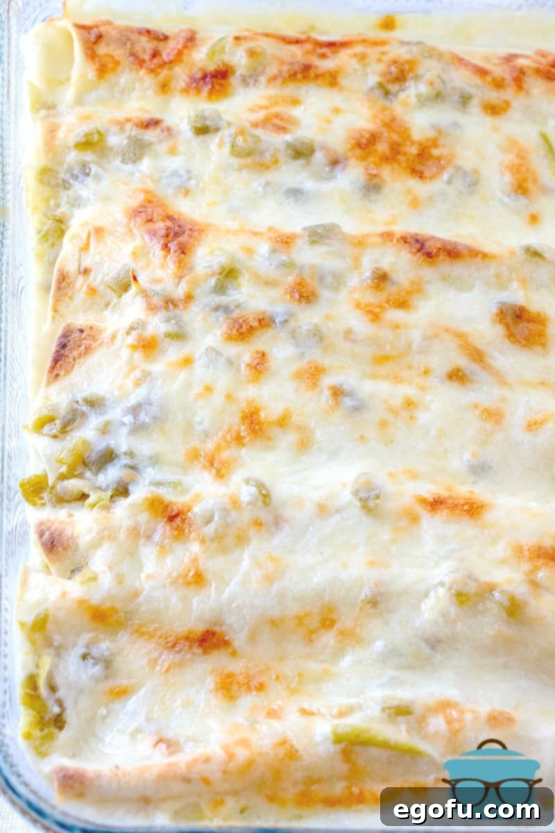 Decadent White Chicken Enchiladas 12 Finished, melted cheese on chicken enchiladas in a clear Pyrex baking dish
