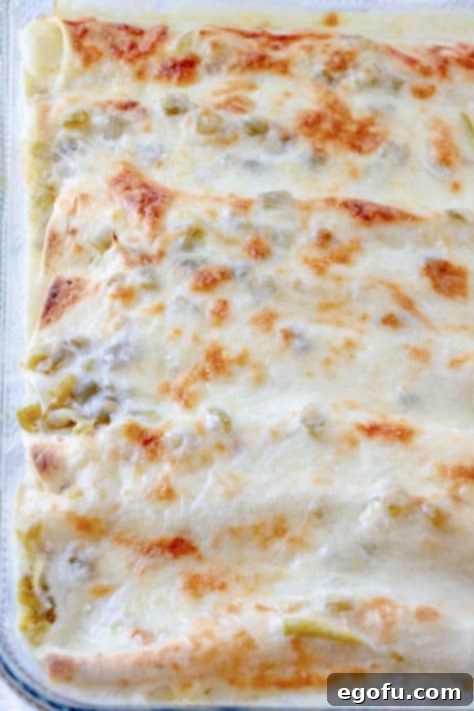 Decadent White Chicken Enchiladas 22 Fully baked creamy white chicken enchiladas.