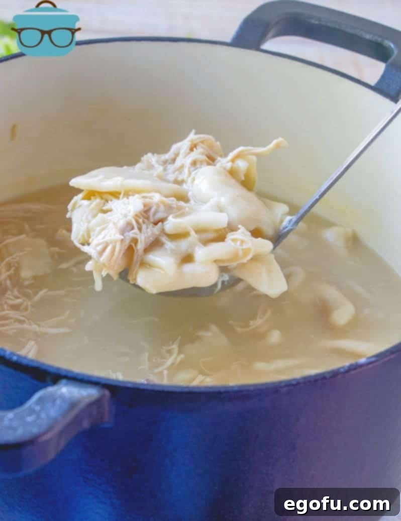 ladle full of Chicken and Dumplings in a pot