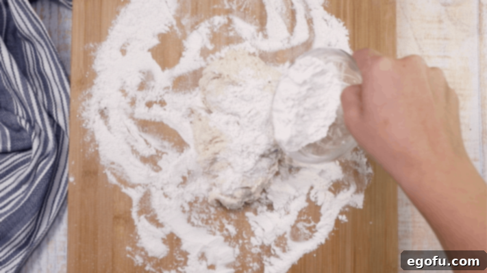 dumpling dough on counter.