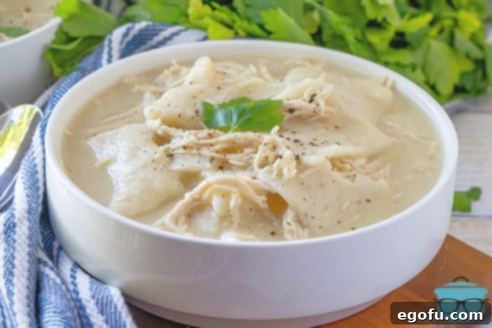 Old-Fashioned Chicken and Dumplings, shown in a bowl with parsley in the background