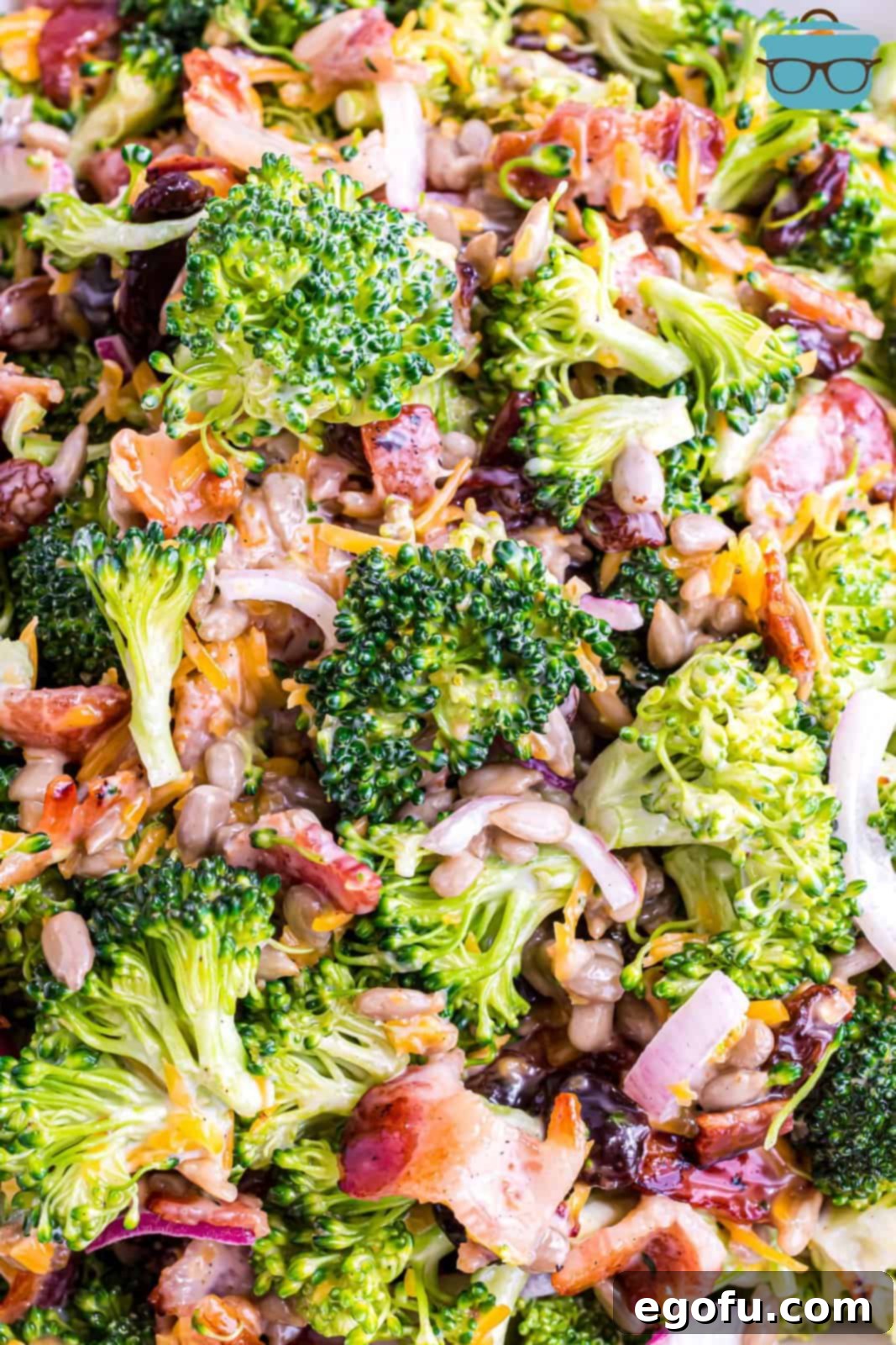 Closeup overhead photo of a vibrant broccoli salad, showcasing its fresh ingredients and creamy dressing.