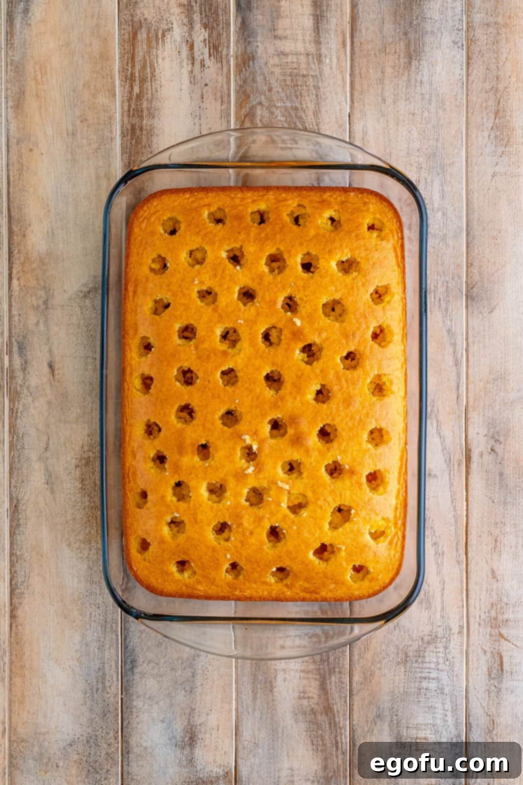 An overhead view of a freshly baked yellow cake cooling in a 9x13 inch baking pan, clearly showing numerous, evenly spaced holes meticulously poked into its surface, now perfectly prepared for the creamy pudding layer.