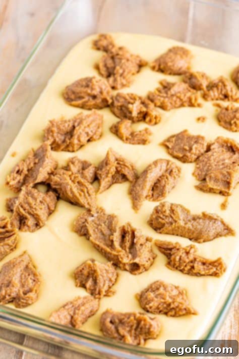 Swirl of Spice Cake 21 Small, even spoonfuls of cinnamon batter filling are dropped carefully over the raw cake batter in the baking dish, ready for swirling.