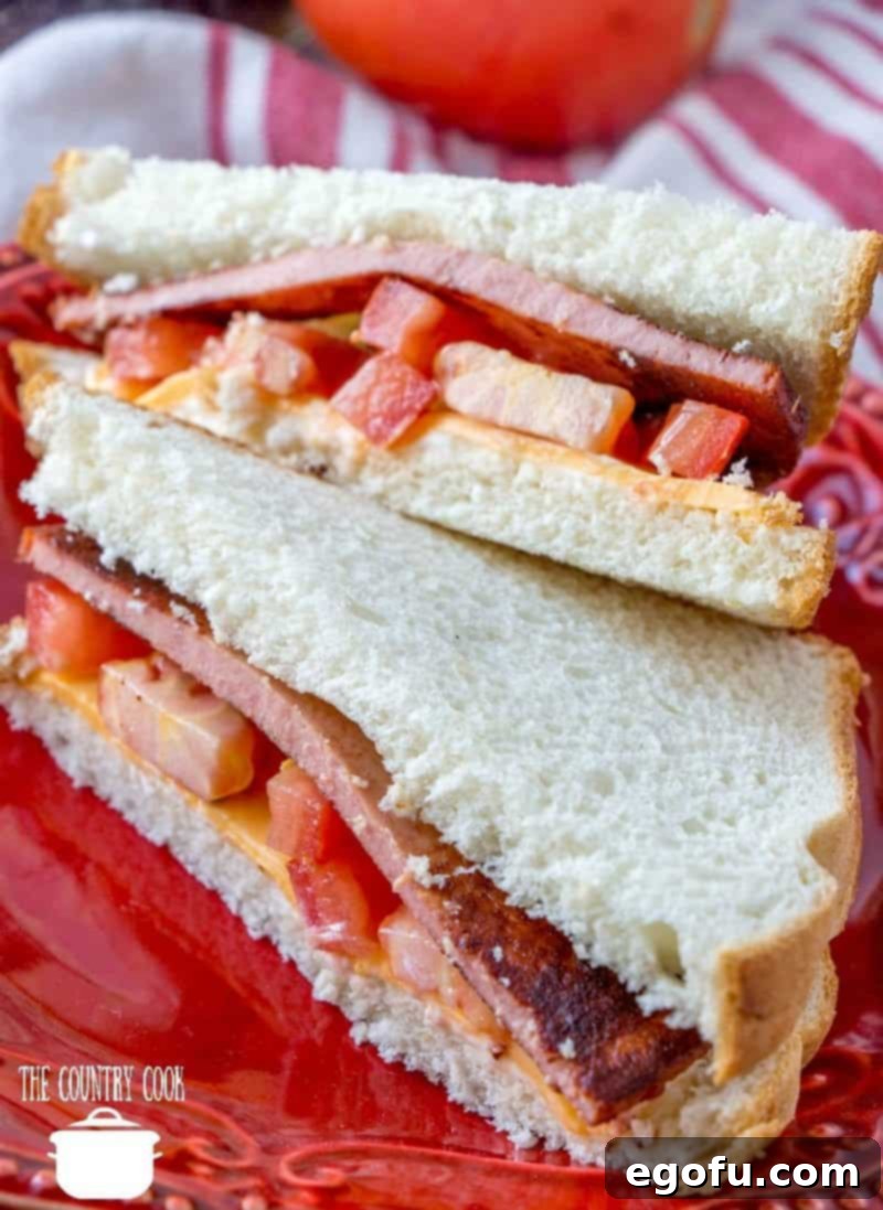 A perfectly prepared fried bologna sandwich with a fresh tomato slice, neatly cut and arranged on a red plate, inviting a nostalgic meal.