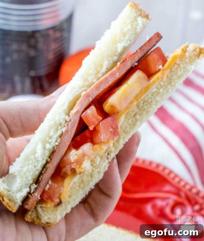 A hand proudly displays a delicious fried bologna sandwich, loaded with melted cheese and a vibrant red tomato slice, a perfect blend of savory and fresh.