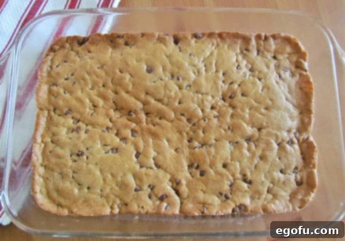 C Is For Cookie Layers 17 baked layered chocolate chip cookie dough