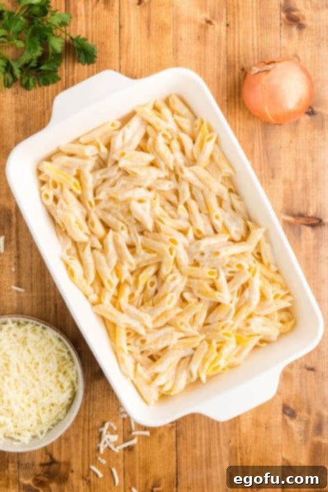alfredo coated penne pasta in a baking dish.