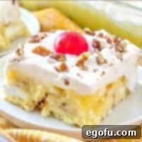 No Bake Twinkie Cake - a delicious layered dessert