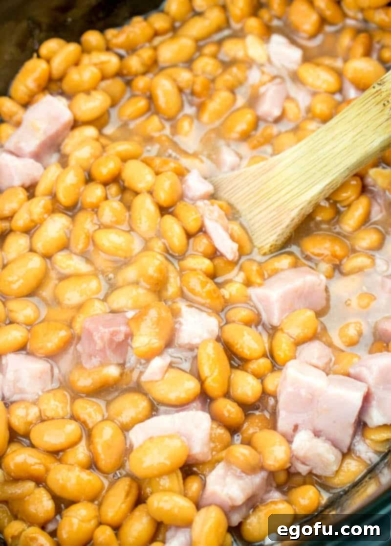 A close-up view of canned pinto beans and ham being stirred together inside a crock pot before cooking.