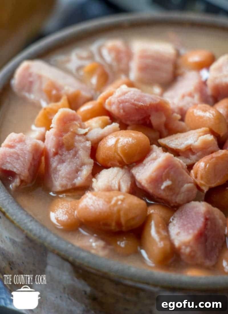 A bowl of easy crock pot pinto beans and ham, shown in a rustic bowl, steaming and ready to be served.