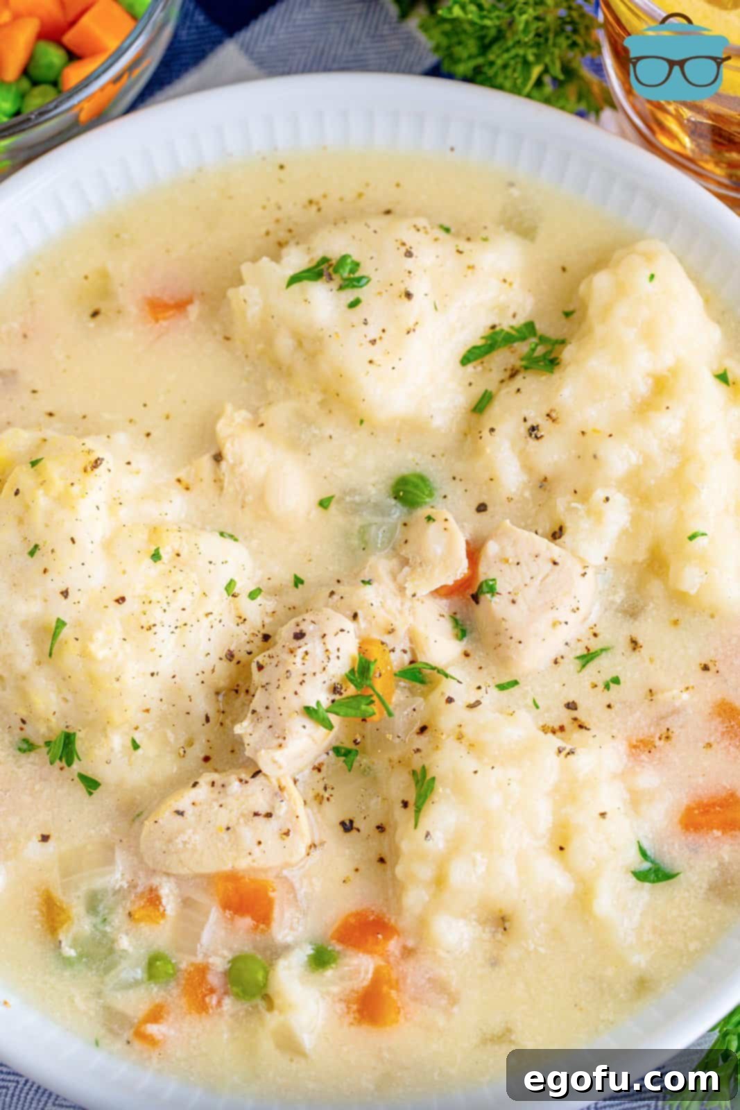 an overhead shot of chicken and Bisquck dumplings in a white bowl. 