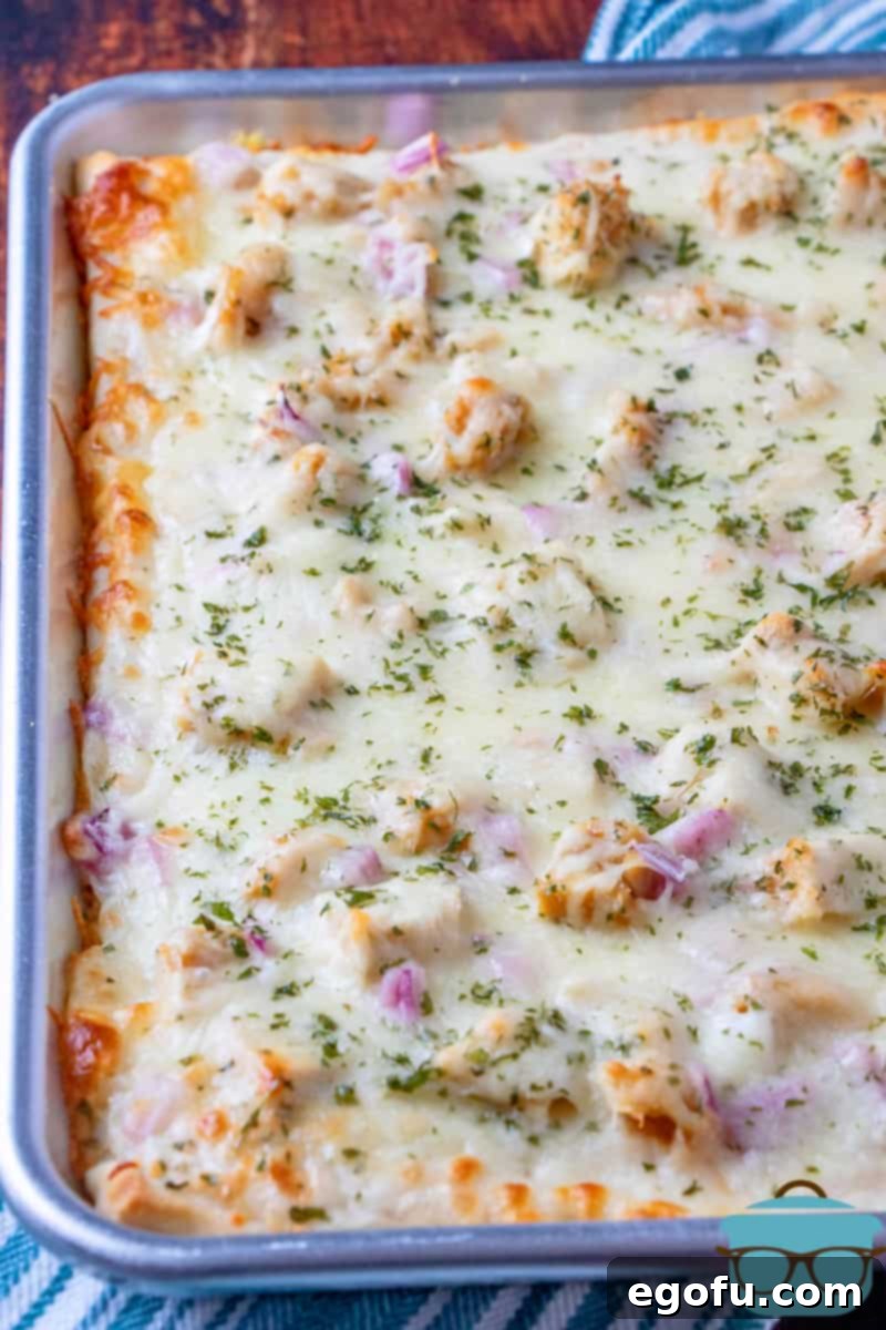 Fully baked chicken Alfredo pizza on a stainless steel baking sheet, golden brown crust, melted cheese, and fresh ingredients.