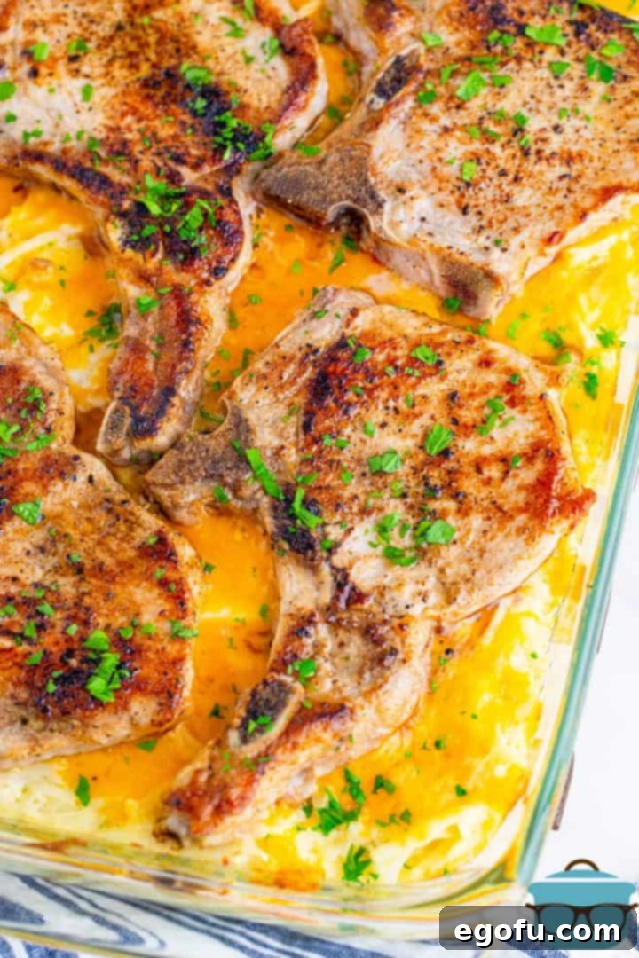 Fully cooked cheesy hash brown casserole topped with beautifully baked pork chops in a large glass baking dish, ready to be served.