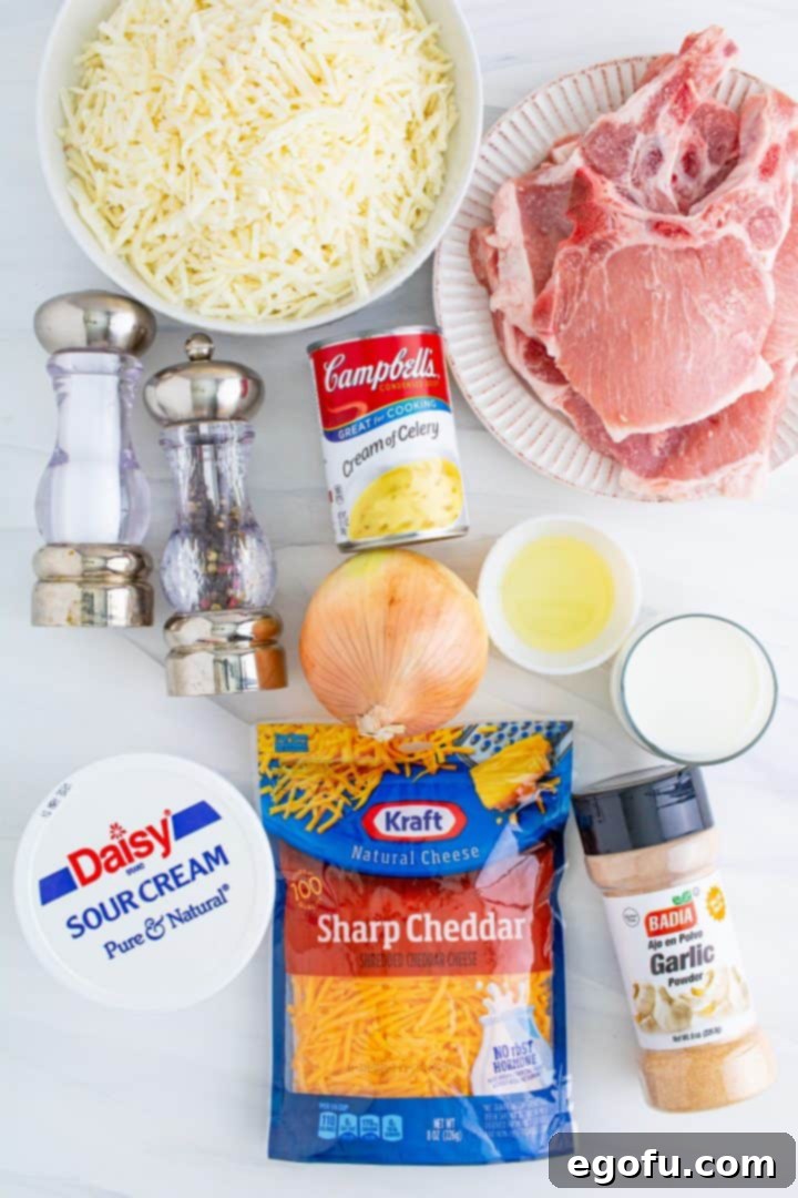 All the necessary ingredients meticulously laid out for the Pork Chop Hash Brown Casserole: cooking oil, salt, pepper, garlic powder, bone-in thick-cut pork chops, sour cream, cream of celery soup, milk, shredded hash browns, chopped onion, and shredded cheddar cheese.