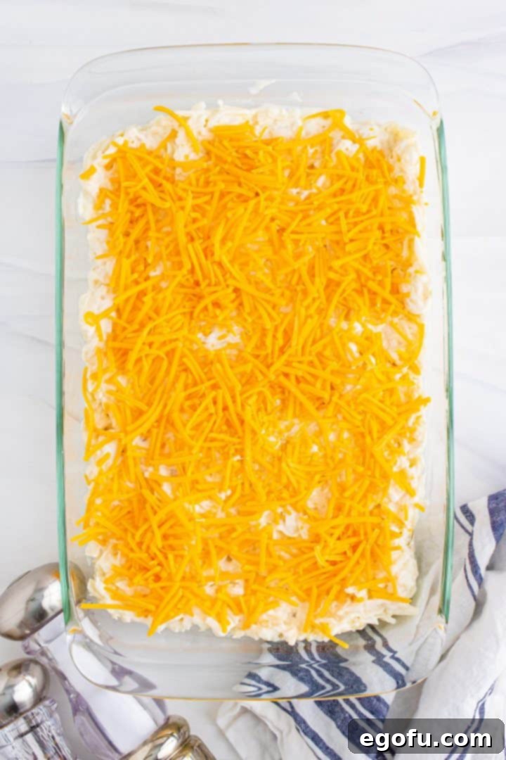 A glass baking dish with the hash brown casserole mixture, topped with an even layer of shredded cheddar cheese, ready for the pork chops.