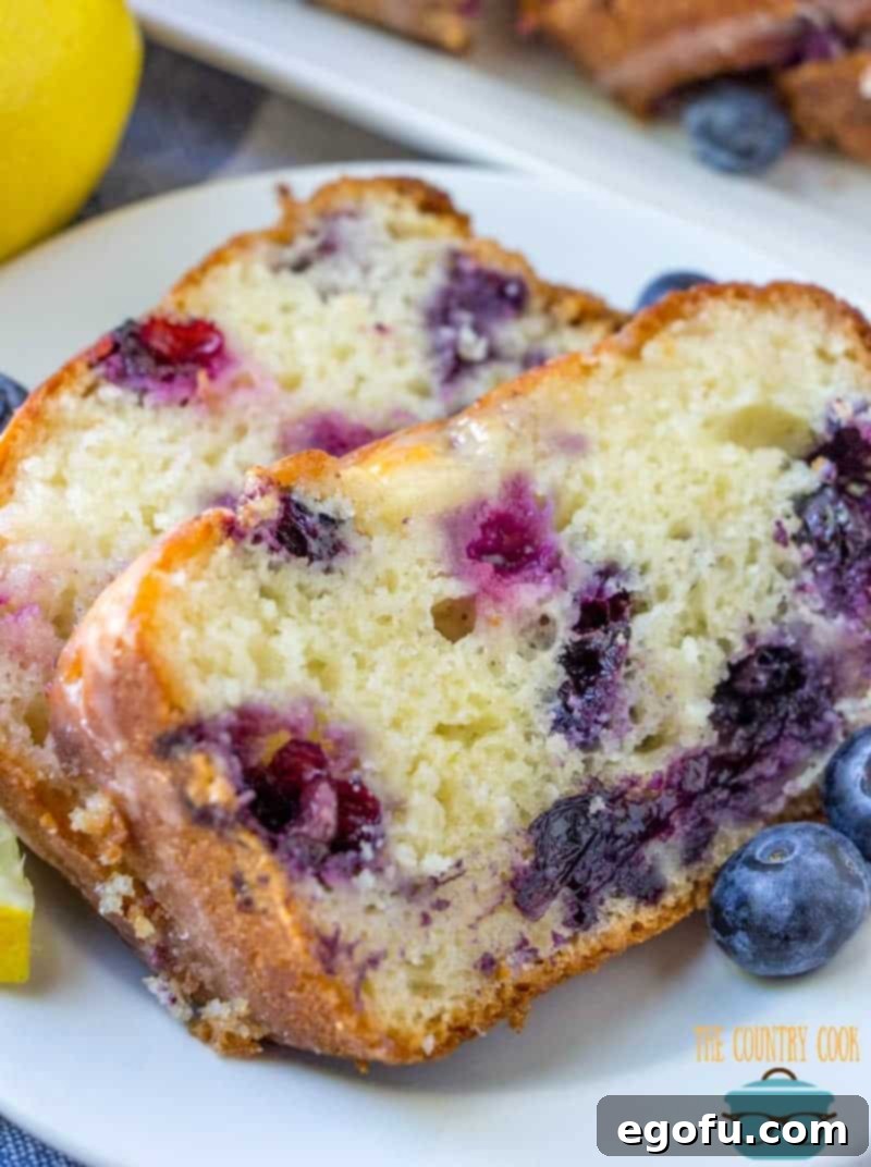 Lemon Blueberry Yogurt Cake, sliced on a plate. Very close up photo.