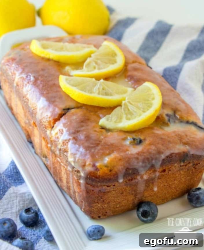Homemade Baked Lemon Blueberry Yogurt Cake topped with fresh sliced lemons.