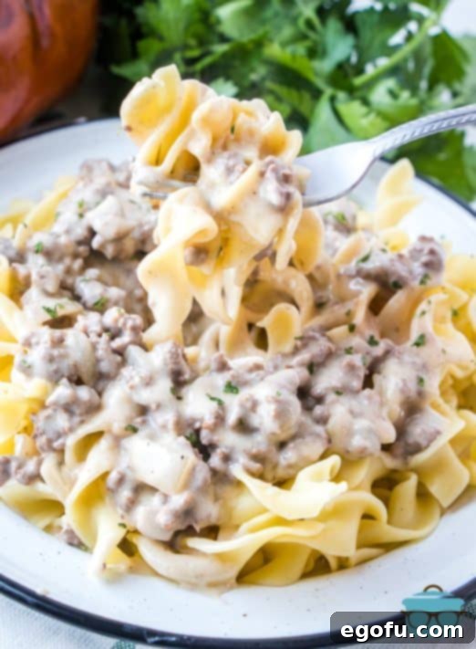 ground beef stroganoff shown served on a round white plate with a fork holding up a small serving.