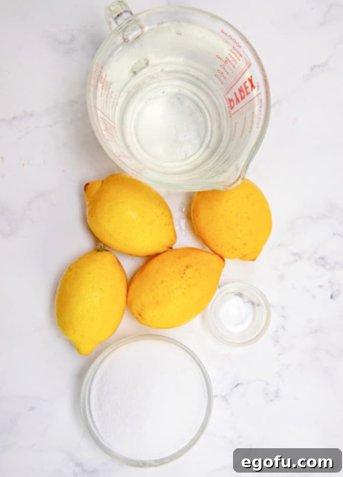 Ingredients for homemade lemonade: fresh lemons, granulated sugar, lemon extract, and cold water laid out