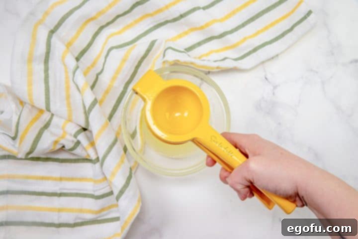 Hands squeezing lemon juice into a bowl using a handheld lemon juicer