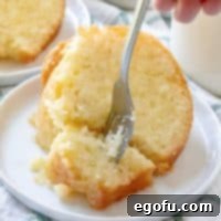 Kentucky Butter Cake 10 Kentucky Butter Cake with Butter Rum Sauce