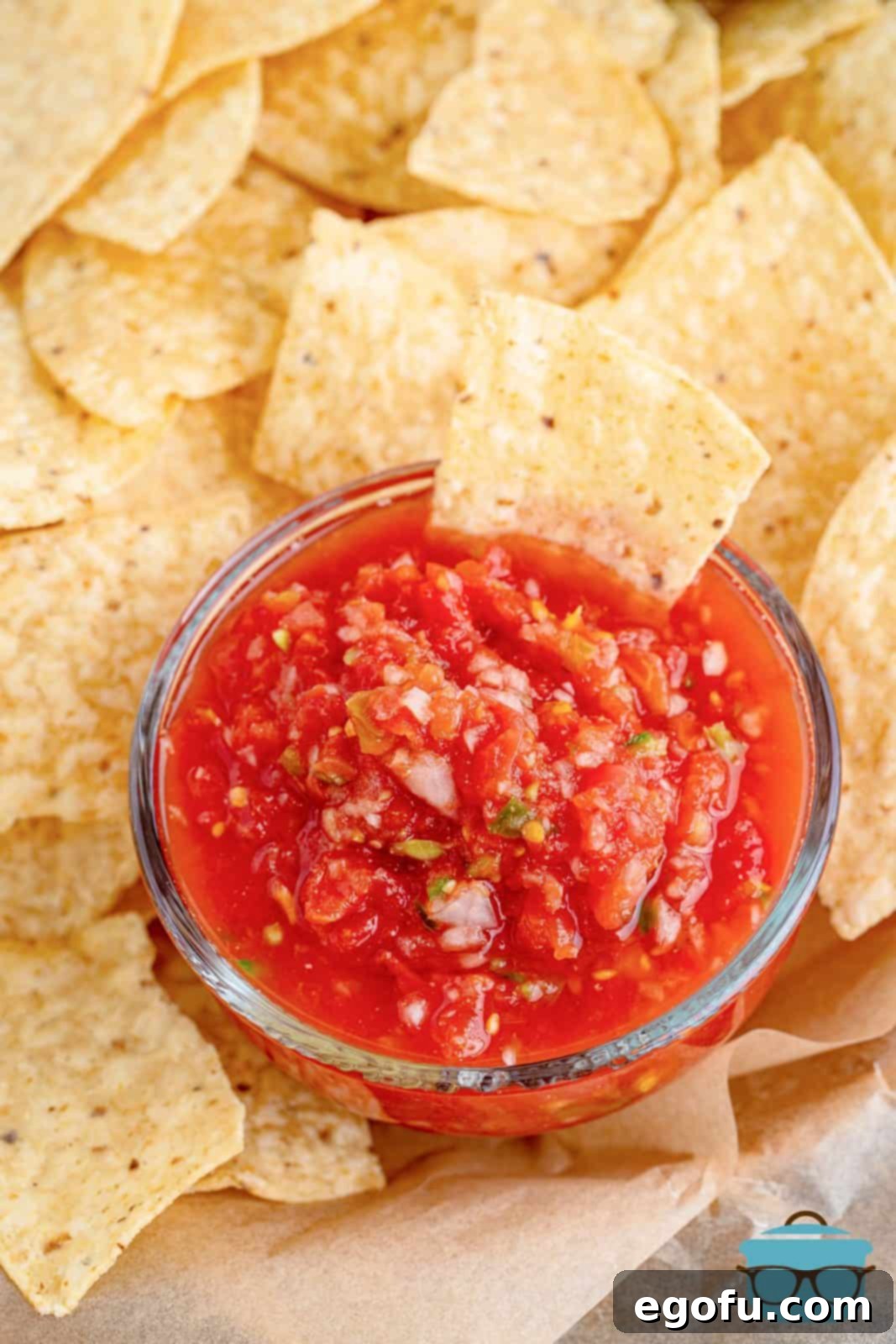 overhead view of salsa in a small bowl surrounded by tortilla chips.
