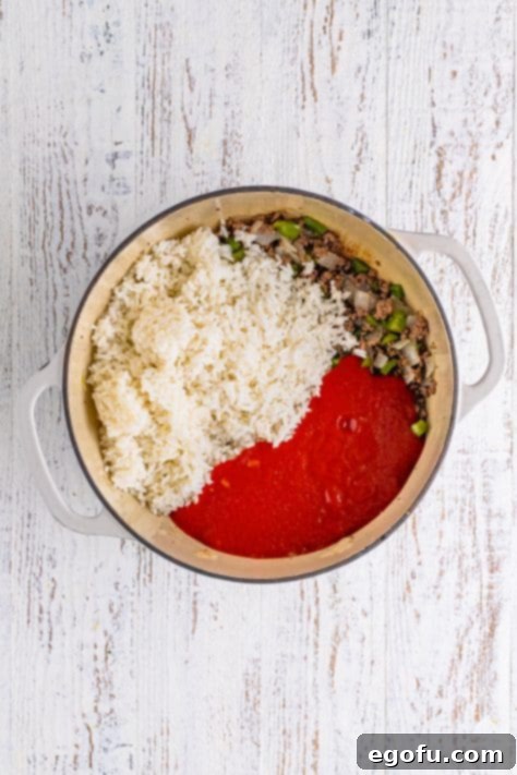 Homemade Spanish Rice 9 Rice, tomato sauce, beef and veggies in a pot.