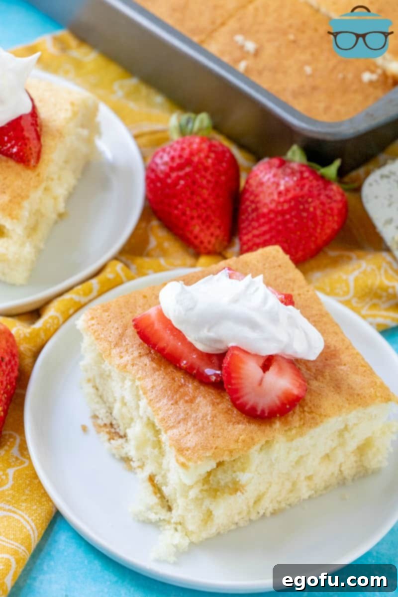 A slice of Hot Milk Sponge Cake served on a plate with glistening fresh strawberries and a cloud of whipped cream, inviting indulgence.
