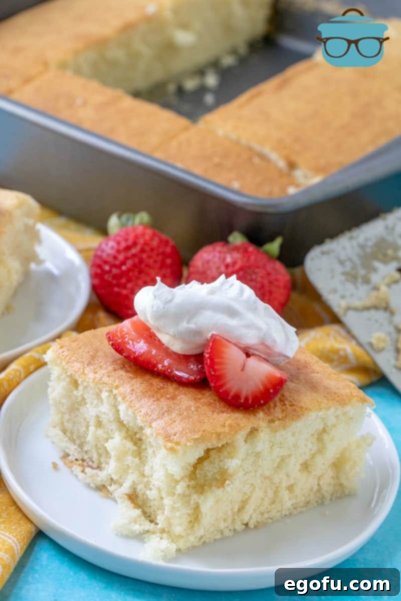 A beautifully presented Hot Milk Sponge Cake, garnished with an abundance of fresh strawberries and generous dollops of whipped cream.