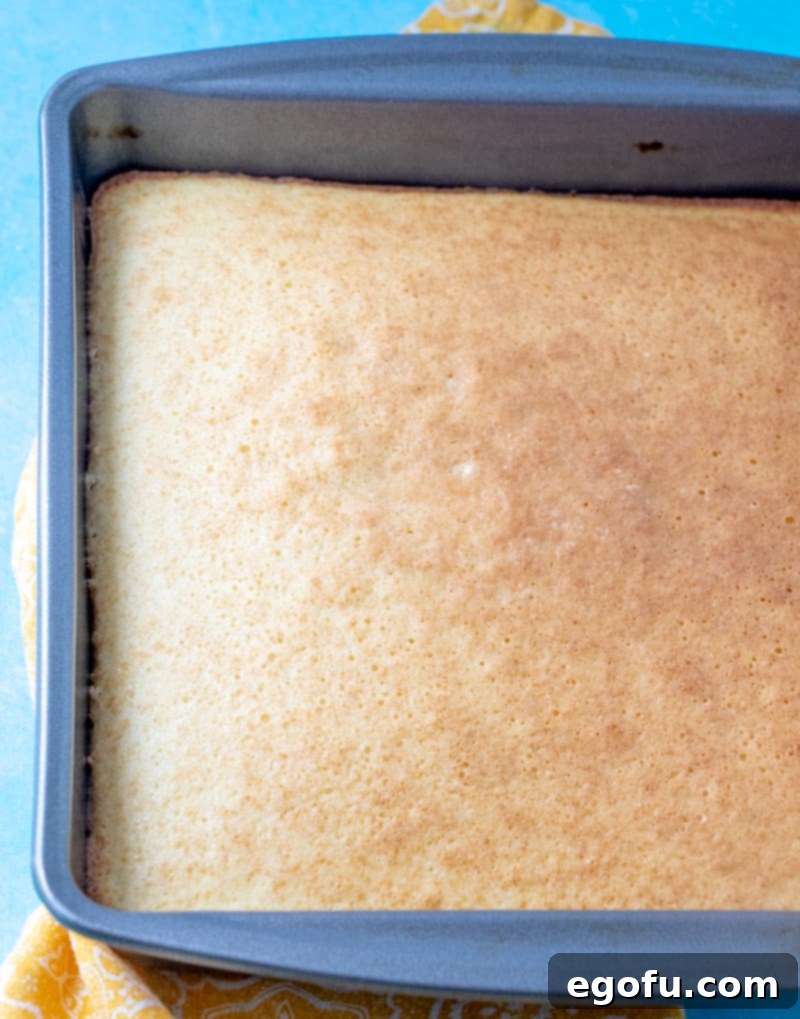 A golden brown Hot Milk Sponge Cake, freshly baked in a square baking pan, filling the kitchen with a sweet aroma.