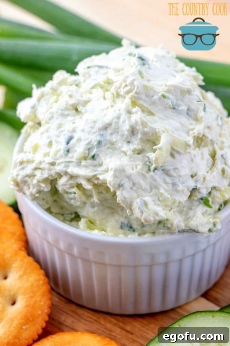 Creamy Cucumber Spread for bagels or crackers.