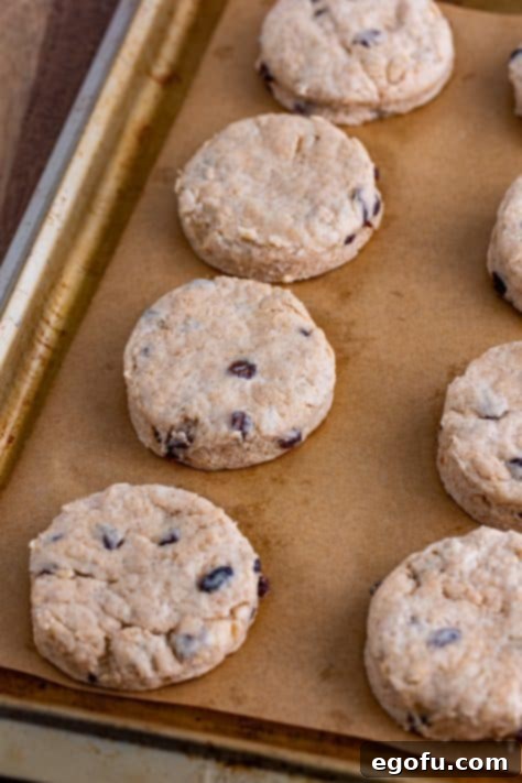 Buttery Cinnamon Raisin Biscuits 14 Raw cut biscuit dough on a baking sheet.