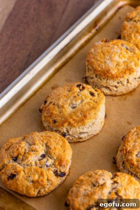 Buttery Cinnamon Raisin Biscuits 15 Freshly baked Cinnamon Biscuits with Raisins.