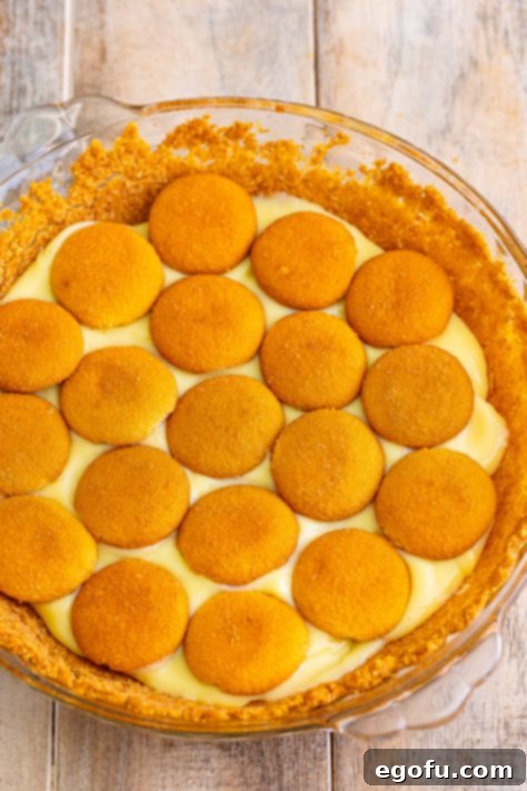 Golden Banana Dream Pie 24 A layer of whole vanilla wafers carefully placed on top of the pudding layer in the pie.