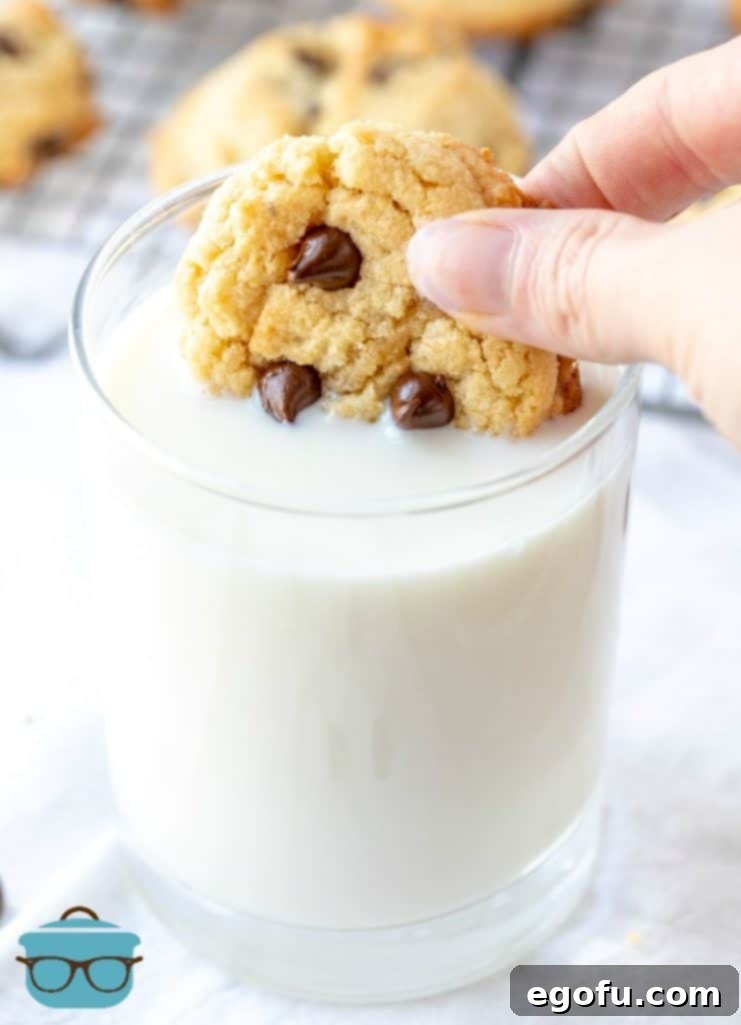 A perfectly baked classic chocolate chip cookie being dunked into a refreshing glass of cold milk, highlighting its soft texture and melted chocolate.