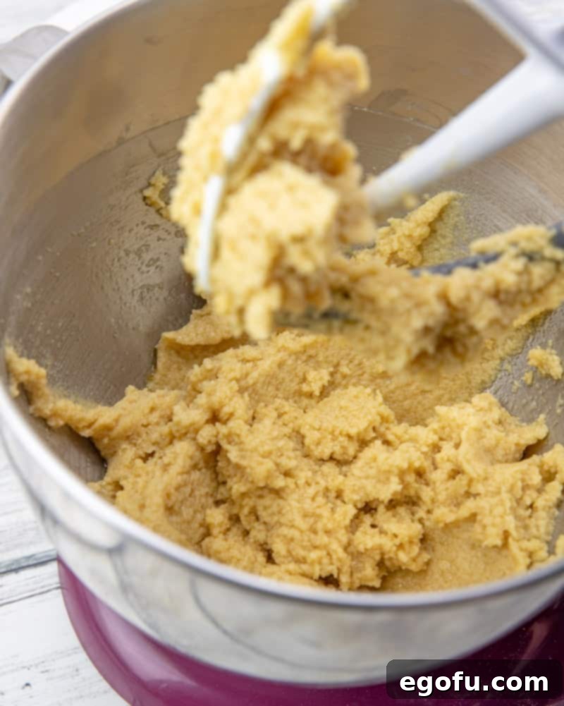 Two large eggs and a splash of vanilla extract added to the creamed butter and sugar mixture in an electric stand mixer, being beaten until fully incorporated.