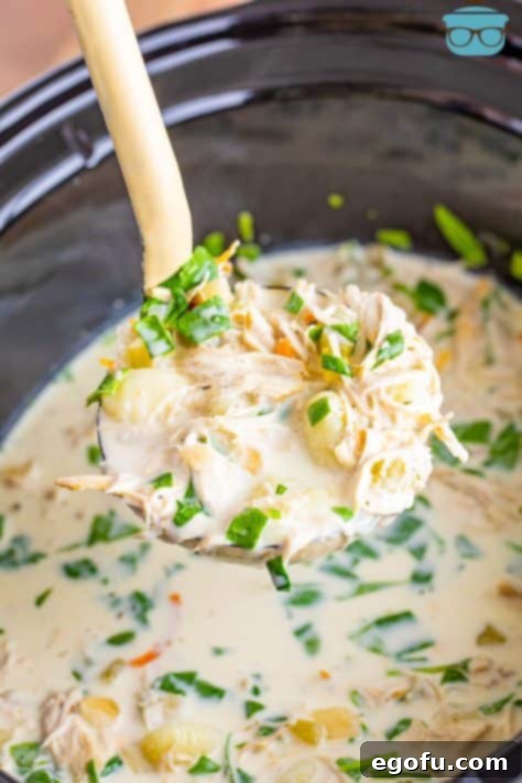 Creamy Slow Cooker Olive Garden Chicken Gnocchi Soup 14 A ladle full of Olive Garden copycat Chicken Gnocchi Soup.