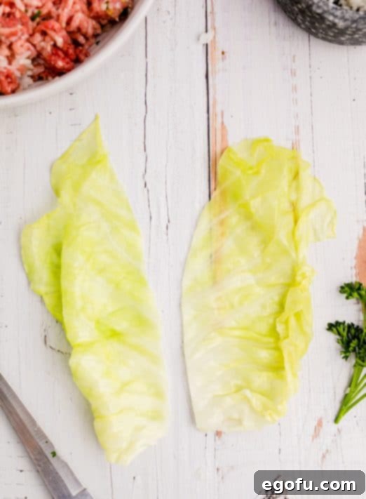 Hard ridges removed from cabbage leaves creating two leaves.