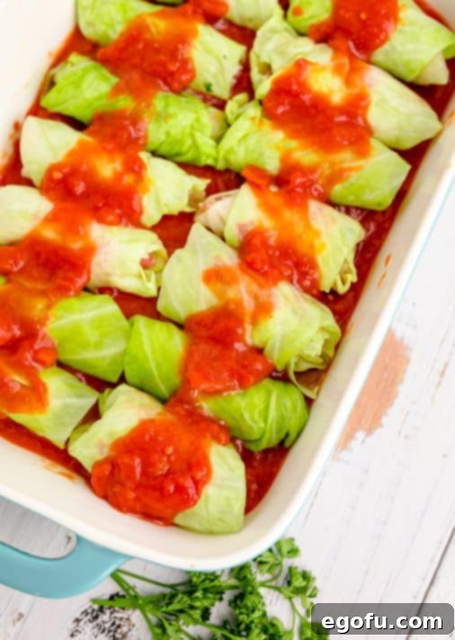 Cabbage rolls placed in baking dish and covered with remaining sauce.