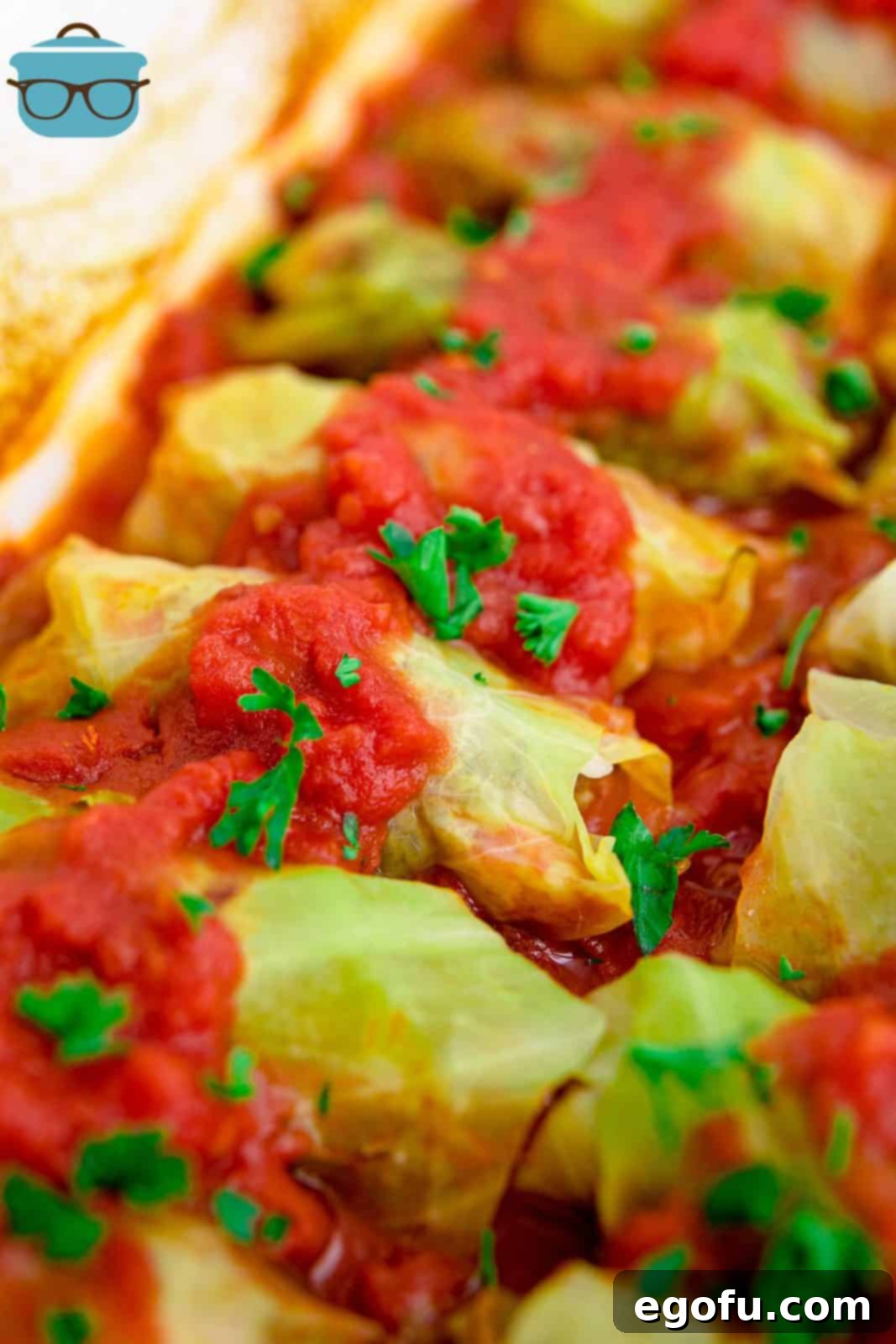 Cabbage Rolls in baking dish with tomato sauce on top.
