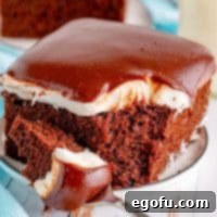 Square image close up of slice of Ding Dong Cake with bite taken out.