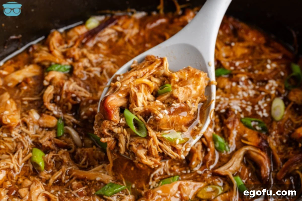 Close-up of Crock Pot Honey Garlic Chicken being scooped with a spoon, showcasing its flavorful sauce and tender chicken.