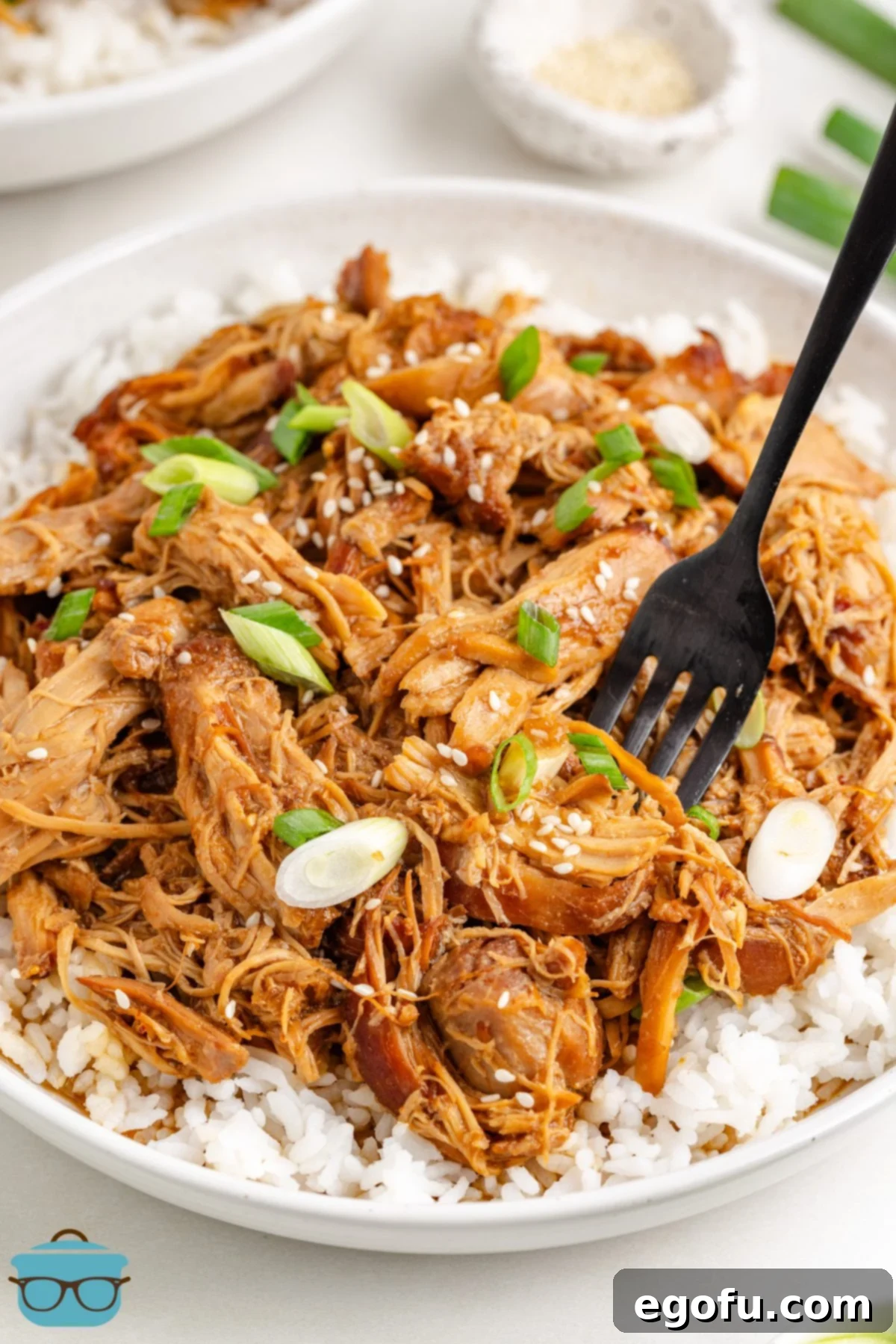 A fork in a plate of Crock Pot Honey Garlic Chicken, highlighting the tender shredded chicken and flavorful sauce.